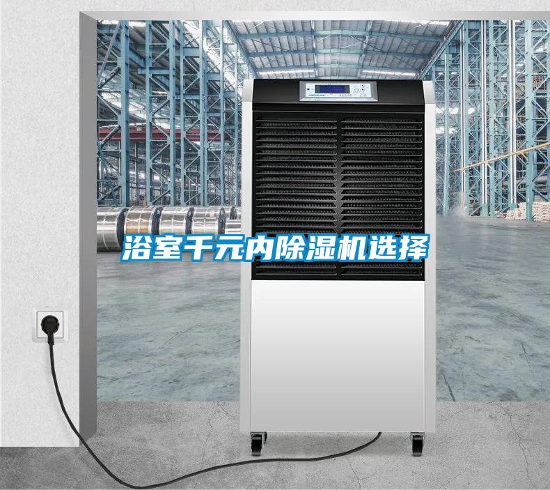 浴室千元內除濕機選擇