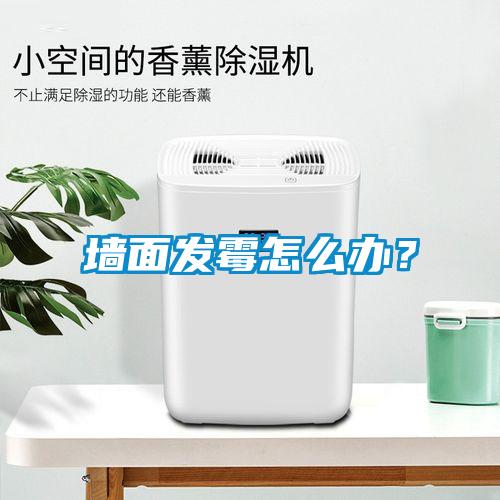 墻面發霉怎么辦？