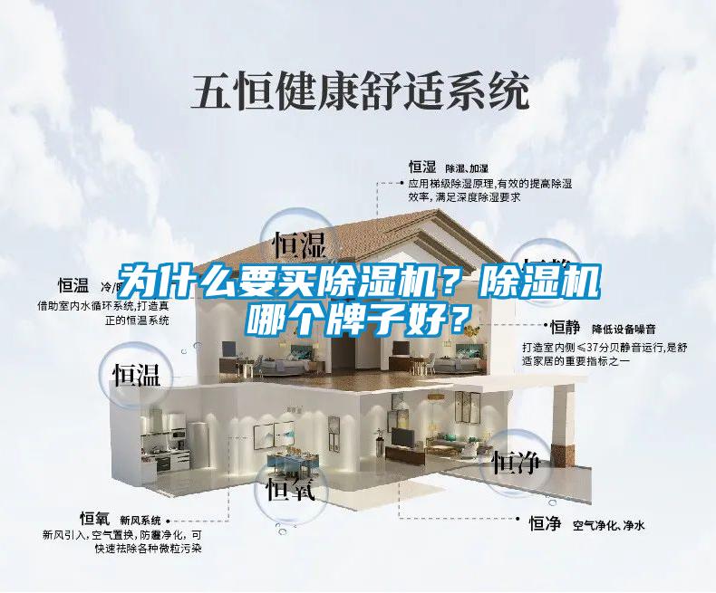 為什么要買除濕機？除濕機哪個牌子好？