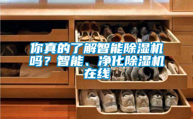 你真的了解智能除濕機嗎？智能、凈化除濕機在線
