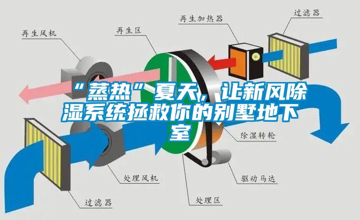 “蒸熱”夏天，讓新風除濕系統拯救你的別墅地下室