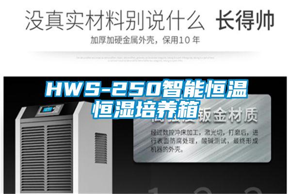 HWS-250智能恒溫恒濕培養箱