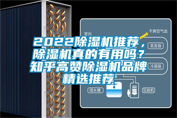 2022除濕機推薦，除濕機真的有用嗎？知乎高贊除濕機品牌精選推薦