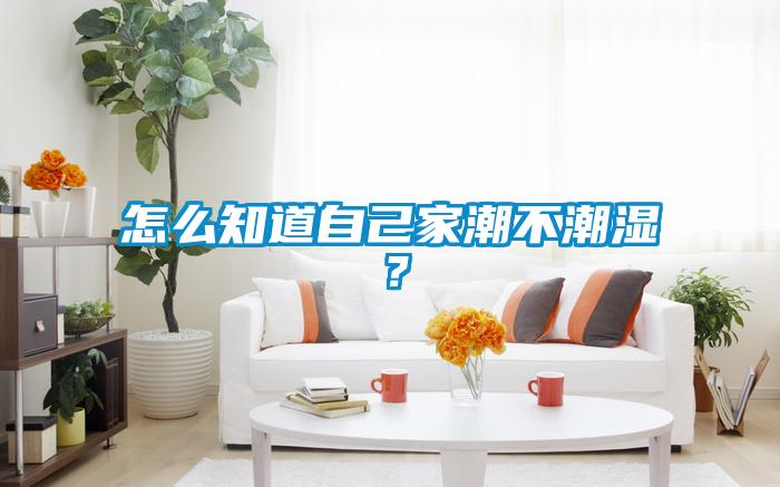 怎么知道自己家潮不潮濕？