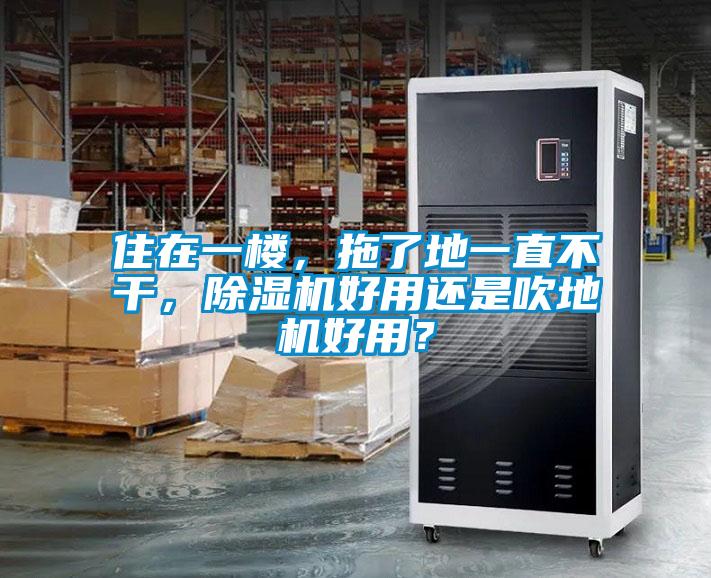 住在一樓，拖了地一直不干，除濕機好用還是吹地機好用？