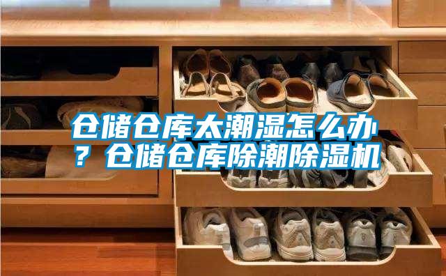 倉儲倉庫太潮濕怎么辦？倉儲倉庫除潮除濕機