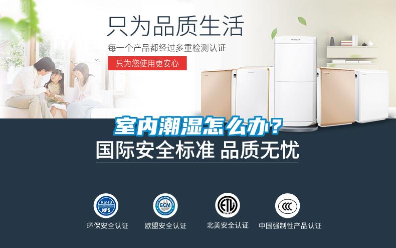 室內潮濕怎么辦？