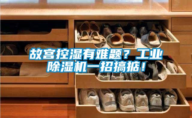 故宮控濕有難題？工業除濕機一招搞掂！
