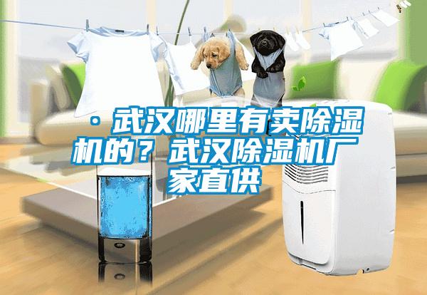 ·武漢哪里有賣除濕機的？武漢除濕機廠家直供