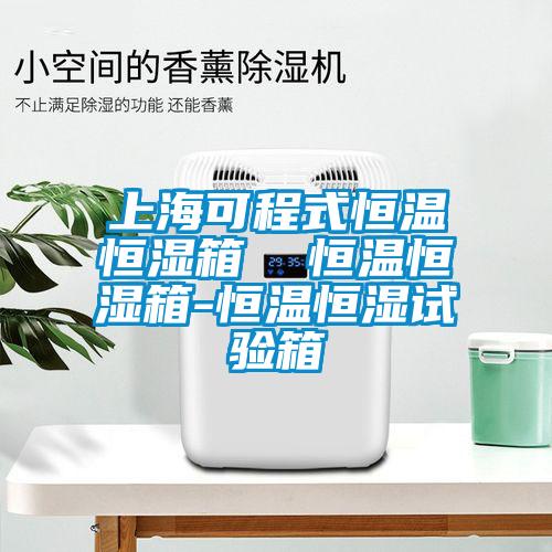 上?？沙淌胶銣睾銤裣? 恒溫恒濕箱-恒溫恒濕試驗箱