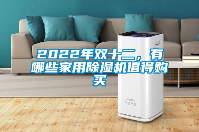 2022年雙十二，有哪些家用除濕機值得購買