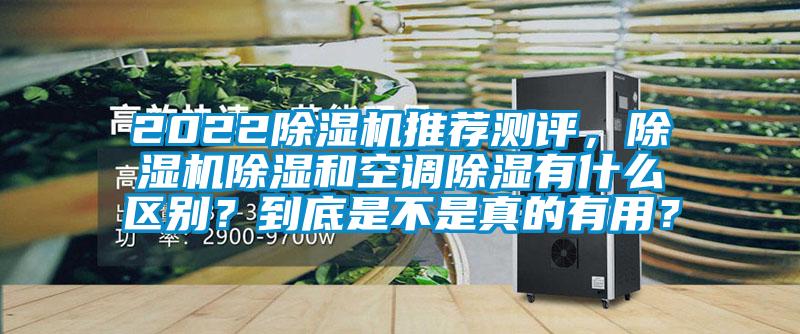 2022除濕機推薦測評，除濕機除濕和空調除濕有什么區別？到底是不是真的有用？