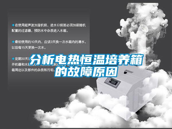 分析電熱恒溫培養箱的故障原因