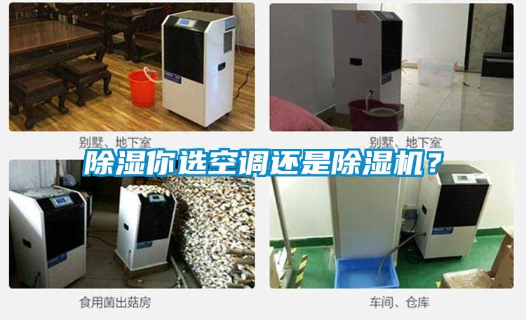 除濕你選空調還是除濕機？
