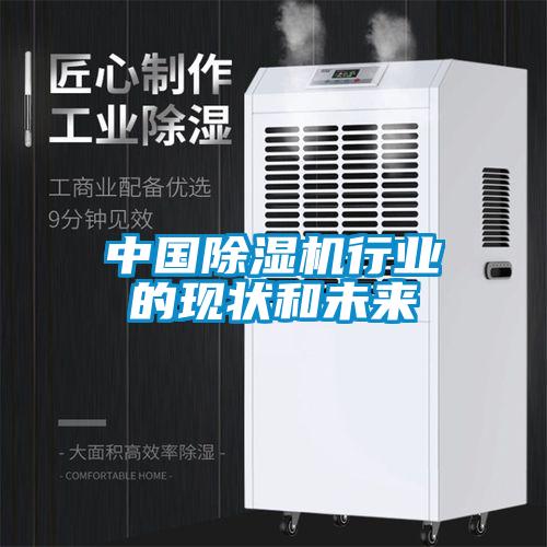 中國除濕機行業的現狀和未來