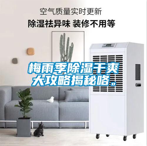 梅雨季除濕干爽大攻略揭秘咯。