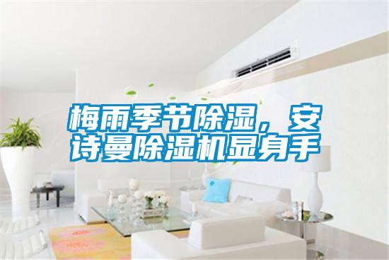 梅雨季節除濕，安詩曼除濕機顯身手