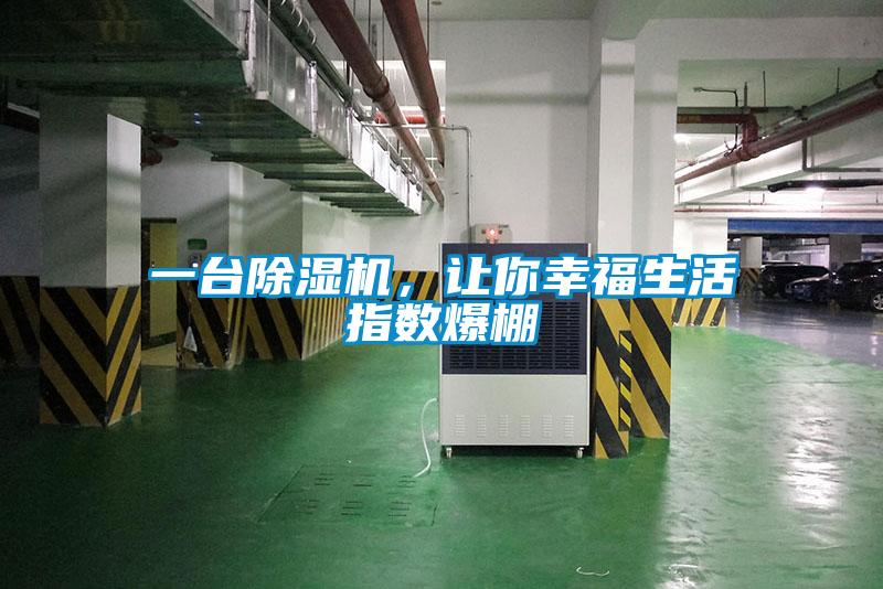 一臺除濕機，讓你幸福生活指數爆棚