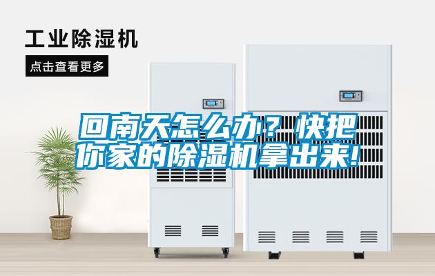 回南天怎么辦？快把你家的除濕機拿出來!