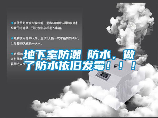 地下室防潮≠防水，做了防水依舊發霉?。?！