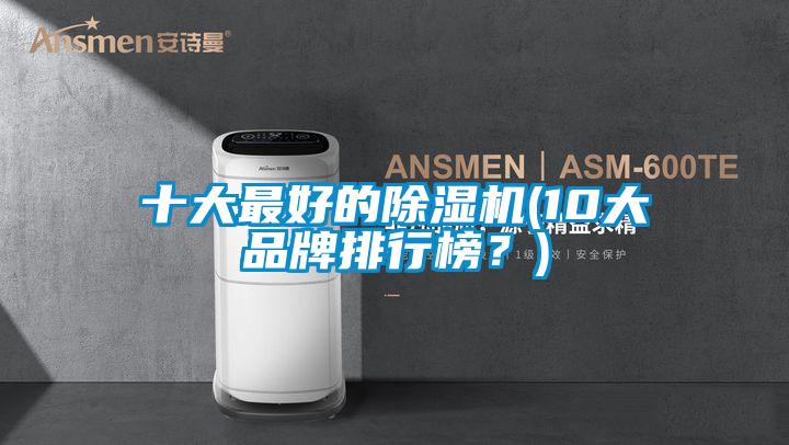 十大最好的除濕機(10大品牌排行榜？)