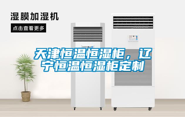 天津恒溫恒濕柜，遼寧恒溫恒濕柜定制