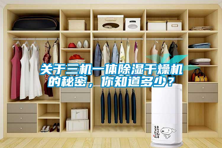 關于三機一體除濕干燥機的秘密，你知道多少？