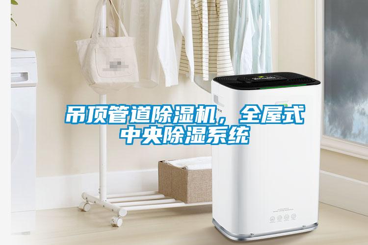 吊頂管道除濕機，全屋式中央除濕系統
