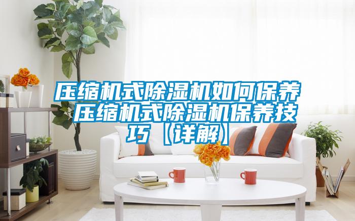 壓縮機式除濕機如何保養 壓縮機式除濕機保養技巧【詳解】