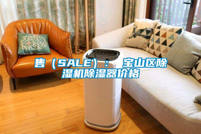 售（SALE）： 寶山區除濕機除濕器價格