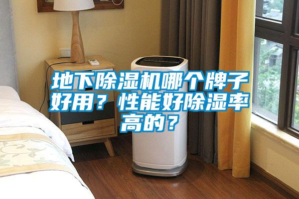 地下除濕機哪個牌子好用？性能好除濕率高的？