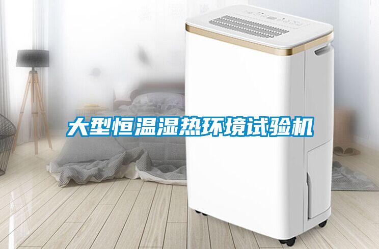 大型恒溫濕熱環境試驗機