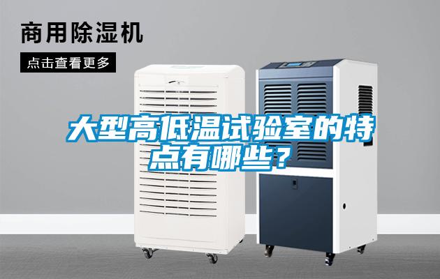 大型高低溫試驗室的特點有哪些？