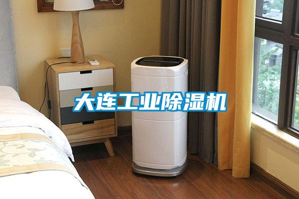 大連工業除濕機