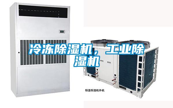 冷凍除濕機，工業除濕機