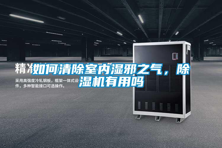如何清除室內濕邪之氣，除濕機有用嗎