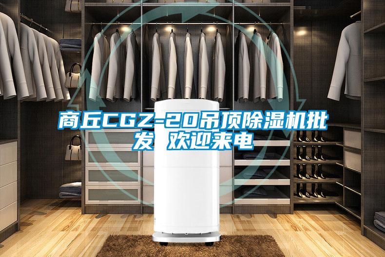 商丘CGZ-20吊頂除濕機批發 歡迎來電