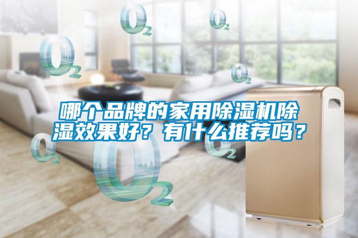 哪個品牌的家用除濕機除濕效果好？有什么推薦嗎？