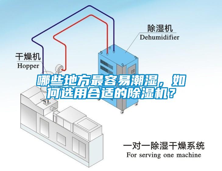 哪些地方最容易潮濕，如何選用合適的除濕機？