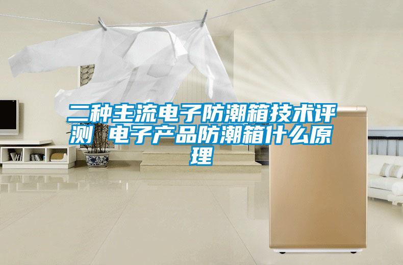 二種主流電子防潮箱技術評測 電子產品防潮箱什么原理