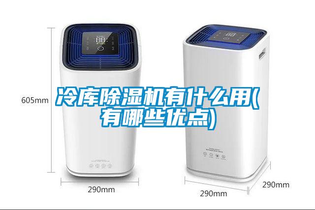 冷庫除濕機有什么用(有哪些優點)