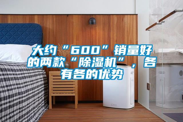 大約“600”銷量好的兩款“除濕機”，各有各的優勢