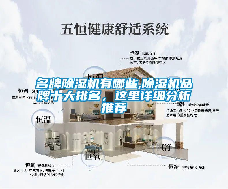 名牌除濕機有哪些,除濕機品牌十大排名，這里詳細分析推薦
