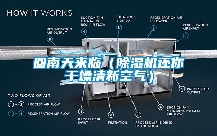 回南天來臨（除濕機還你干燥清新空氣）