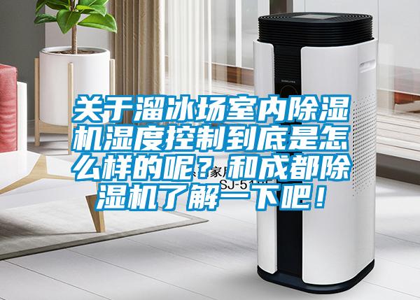 關于溜冰場室內除濕機濕度控制到底是怎么樣的呢？和成都除濕機了解一下吧！