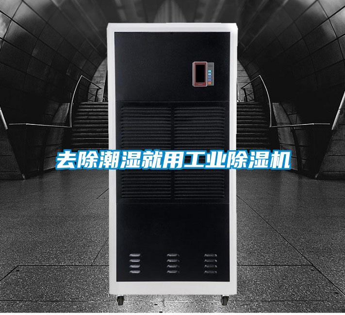 去除潮濕就用工業除濕機