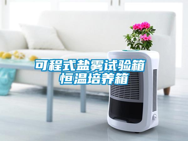 可程式鹽霧試驗箱 恒溫培養箱