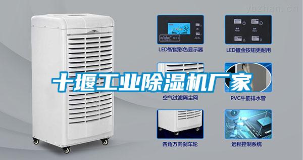 十堰工業除濕機廠家