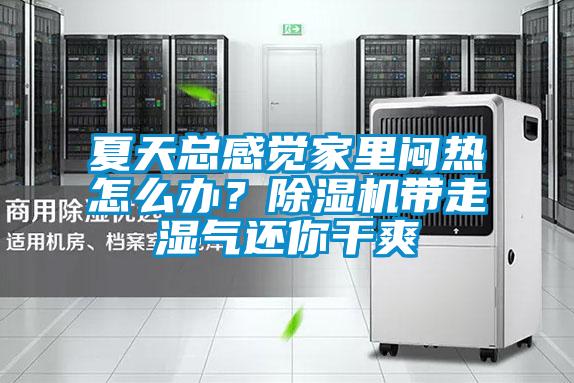 夏天總感覺家里悶熱怎么辦？除濕機帶走濕氣還你干爽