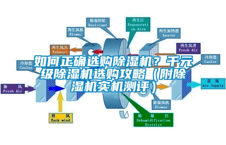 如何正確選購除濕機？千元級除濕機選購攻略（附除濕機實機測評）